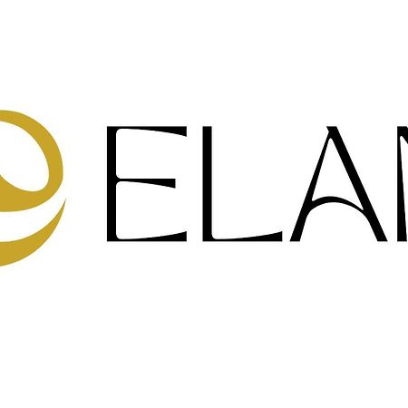 Elan Lodge Akakura Nagano Rom bilde